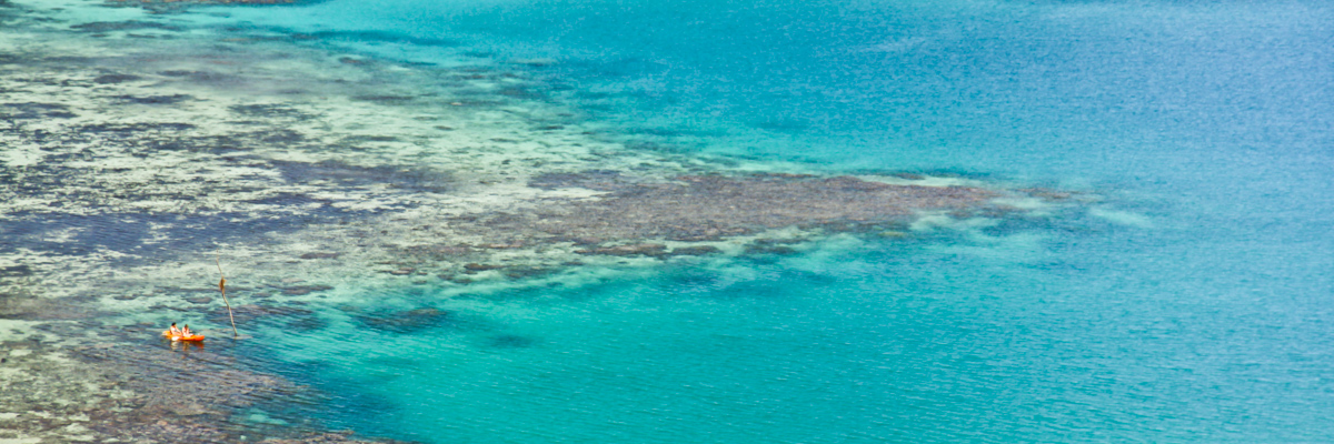11 06 Fiji 11 IMG 0149